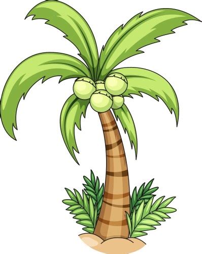 puno ng niyog drawing|Drawing Coconut Tree Vector Images (over 5,700) .